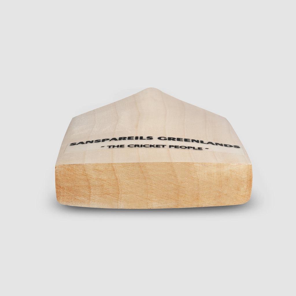 SG Arc 2.0 English Willow Cricket Bat view 3