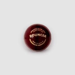 SG Bouncer Cricket Leather Balls – Box of 12