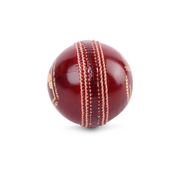 SG Tournament Special Cricket Leather Ball
