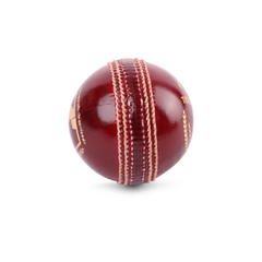 SG Tournament Special Cricket Leather Ball