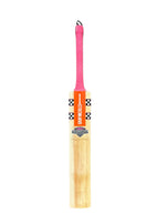 Gray Nicolls GN Shock Wave Limited Edition English Willow cricket bat front view
