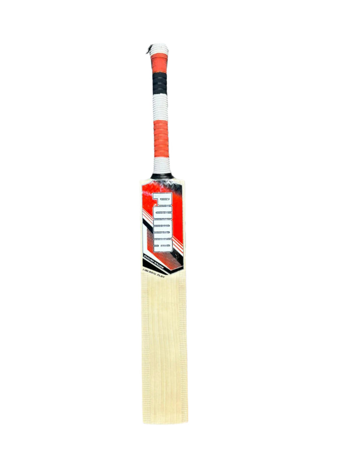 Puma Liberate Play English Willow Cricket Bat - Short Handle