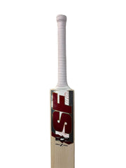 SF Gen Z Pro English willow cricket bat, Short Handle, face view