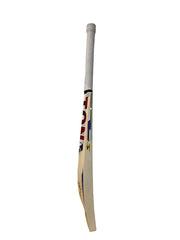SS Players Phil Salt English Willow cricket bat Harrow side view