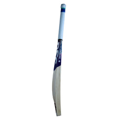 DSC BLU 300 English willow cricket bat, opposite side showing edge and DSC branding