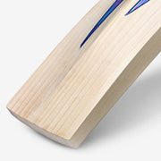 DSC BLU 330 English willow cricket bat, edge and profile detail