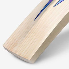 DSC BLU 330 English willow cricket bat, edge and profile detail