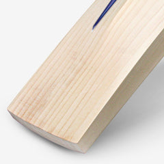 DSC BLU Maverick English willow cricket bat lower rear blade showing the spine, edge and toe