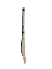 DSC BLU Player Edition English Willow Cricket Bat image 3