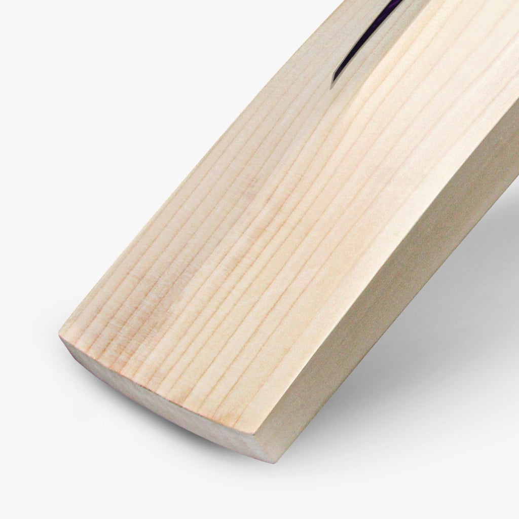 DSC RS 060 English willow cricket bat lower rear blade close-up showing spine, edge and toe