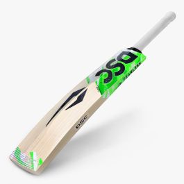 DSC Spliit 550 English Willow Cricket Bat