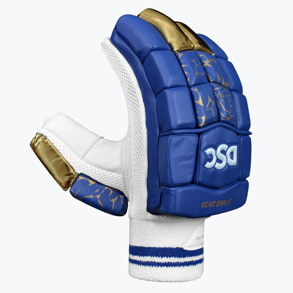 DSC Strike 20/20 Blue cricket batting gloves model overview