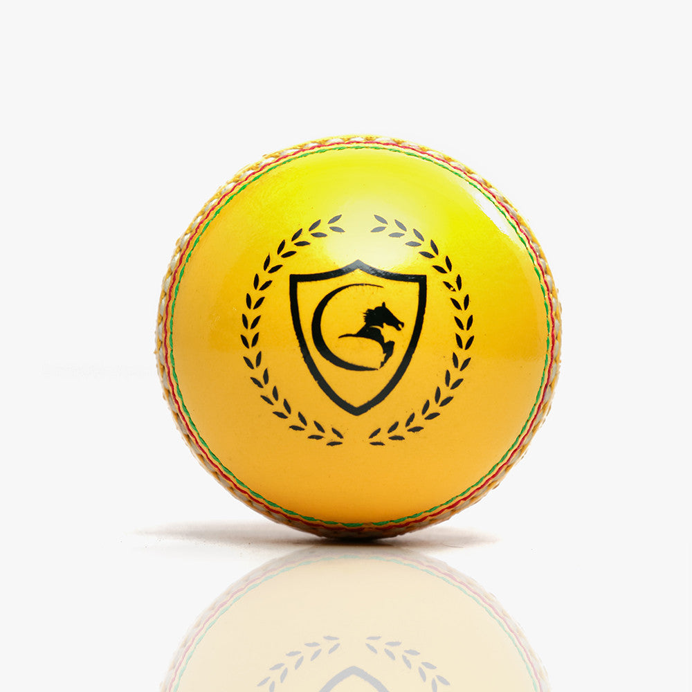 Gortonshire Indoor Cricket Ball front view