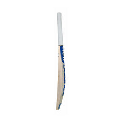 Side profile and edge of New Balance TC 650i English willow cricket bat