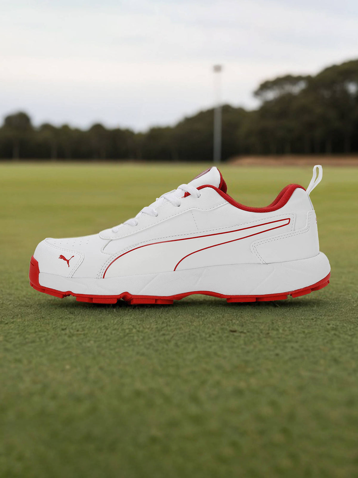 Puma Classicat 10780702 Cricket Rubber Shoes White Red