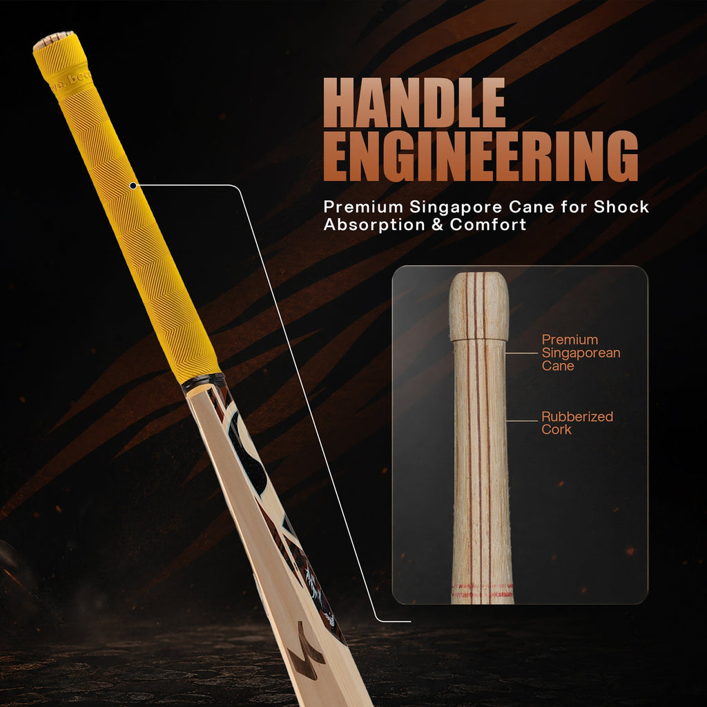 SG Ishan Kishan English Willow Cricket Bat handle and sticker detail