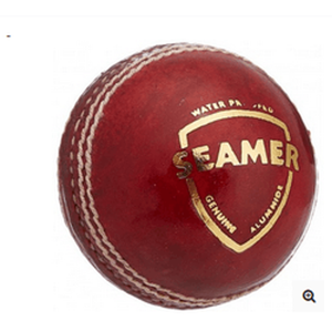 SG Seamer Cricket Ball (Red)