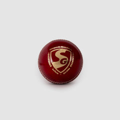 SG Seamer Cricket Leather Ball
