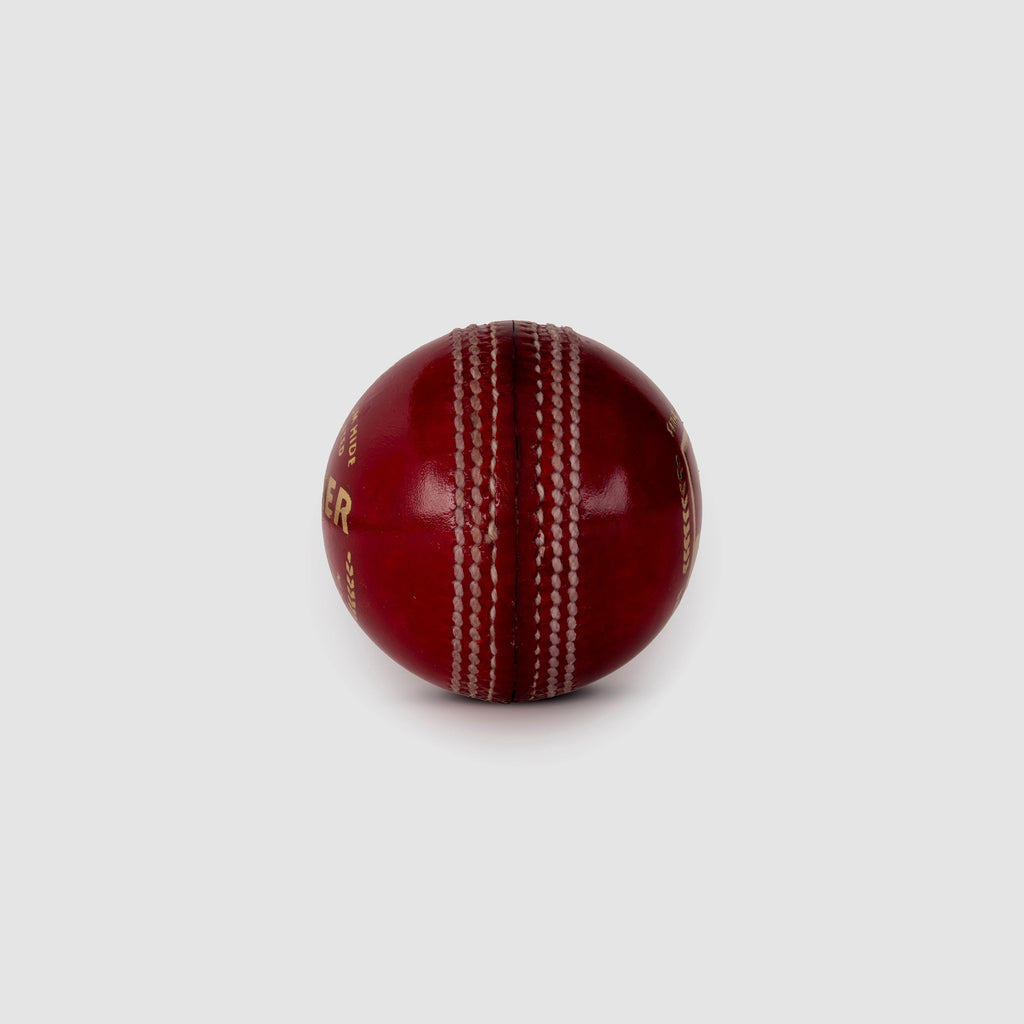 SG Seamer Cricket Leather Ball