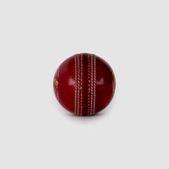 SG Seamer Cricket Leather Ball