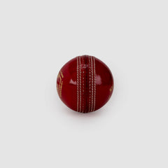 SG Shield 20 Red Cricket Leather Ball