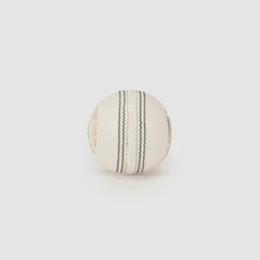 SG Shield 30 White Cricket Leather Ball