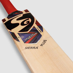 SG Sierra Plus Size 4 Kashmir Willow cricket bat rear view