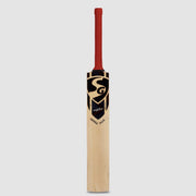 SG Sierra Plus Size 4 Kashmir Willow cricket bat detail