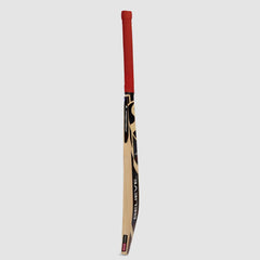 SG Sierra Plus Size 4 Kashmir Willow cricket bat side detail