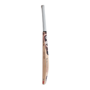 SG Sunny Tonny English Willow Cricket Bat official edge view
