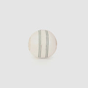 SG Super 50 White Cricket Ball