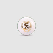 SG Tournament White Cricket Leather Ball