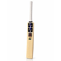 SS Devil Blue Kashmir Willow Cricket Bat front