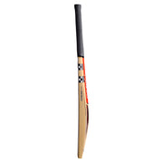 Gray Nicolls Vector 650 Play Now English Willow Cricket Bat side view