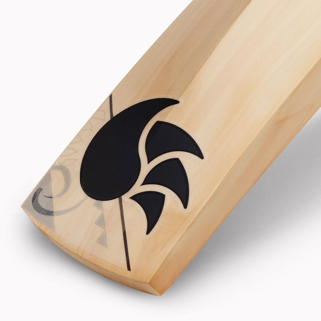 DSC BLAK 10 English Willow Bat - NZ Cricket Store