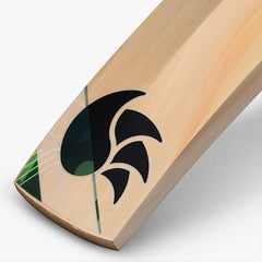 DSC Spliit 3.0 English Willow Bat - NZ Cricket Store