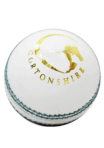 Gortonshire Practice Cricket Ball White (Alum Tanned)